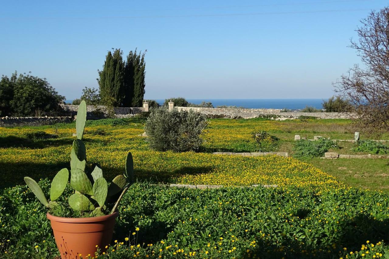 Il Fico D'India Dell'Antico Orto Villa Ostuni Dış mekan fotoğraf