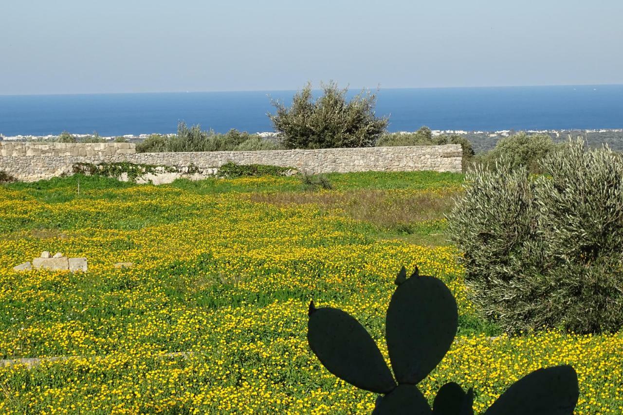Il Fico D'India Dell'Antico Orto Villa Ostuni Dış mekan fotoğraf