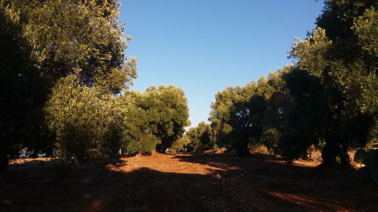 Il Fico D'India Dell'Antico Orto Villa Ostuni Dış mekan fotoğraf