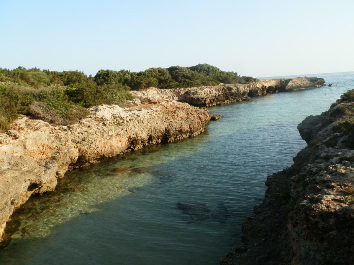 Il Fico D'India Dell'Antico Orto Villa Ostuni Dış mekan fotoğraf